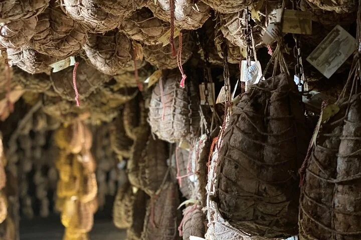 Culatello-Land: halber Tag in der Po-Ebene